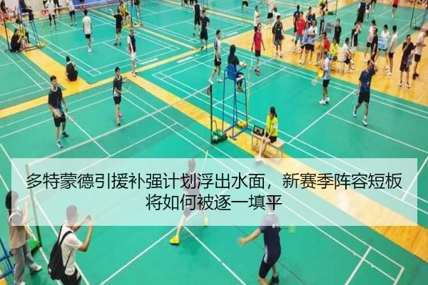 多特蒙德引援补强计划浮出水面，新赛季阵容短板将如何被逐一填平
